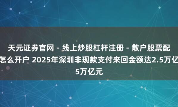天元证券官网 - 线上炒股杠杆注册 - 散户股票配资怎么开户 2025年深圳非现款支付来回金额达2.5万亿元
