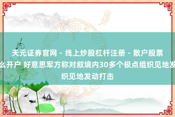 天元证券官网 - 线上炒股杠杆注册 - 散户股票配资怎么开户 好意思军方称对叙境内30多个极点组织见地发动打击