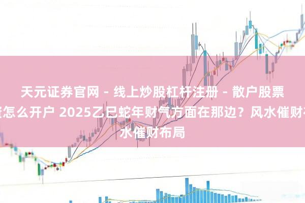 天元证券官网 - 线上炒股杠杆注册 - 散户股票配资怎么开户 2025乙巳蛇年财气方面在那边?风水催财布局