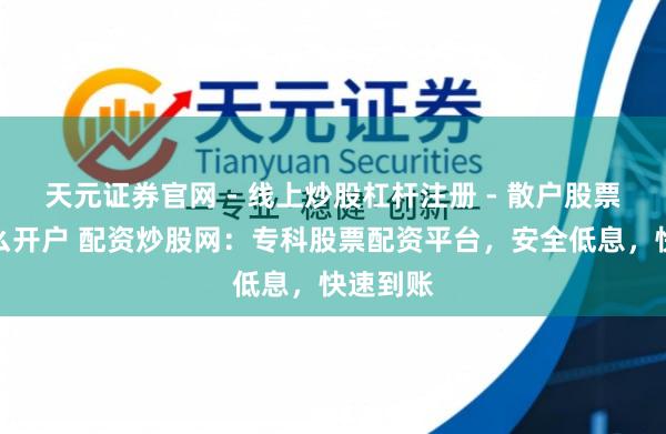 天元证券官网 - 线上炒股杠杆注册 - 散户股票配资怎么开户 配资炒股网：专科股票配资平台，安全低息，快速到账