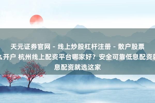 天元证券官网 - 线上炒股杠杆注册 - 散户股票配资怎么开户 杭州线上配资平台哪家好？安全可靠低息配资就选这家