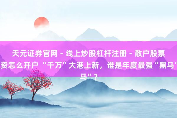 天元证券官网 - 线上炒股杠杆注册 - 散户股票配资怎么开户 “千万”大港上新，谁是年度最强“黑马”？