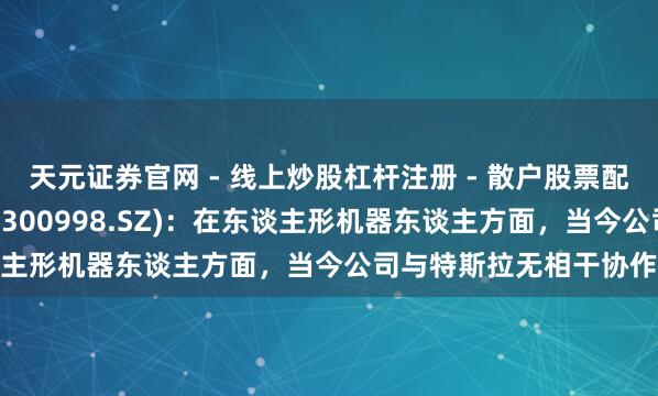 天元证券官网 - 线上炒股杠杆注册 - 散户股票配资怎么开户 宁波正派(300998.SZ)：在东谈主形机器东谈主方面，当今公司与特斯拉无相干协作