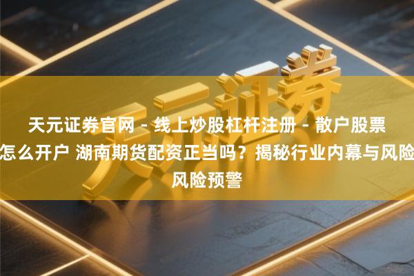 天元证券官网 - 线上炒股杠杆注册 - 散户股票配资怎么开户 湖南期货配资正当吗？揭秘行业内幕与风险预警