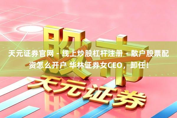 天元证券官网 - 线上炒股杠杆注册 - 散户股票配资怎么开户 华林证券女CEO，卸任！