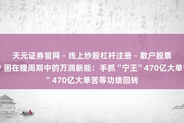 天元证券官网 - 线上炒股杠杆注册 - 散户股票配资怎么开户 困在锂周期中的万润新能：手抓“宁王”470亿大单苦等功绩回转